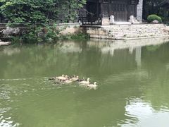 -台儿庄古城