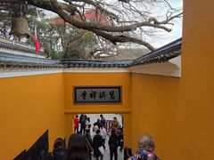 -普陀山慧济禅寺