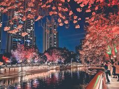 -红星桥(地铁站)