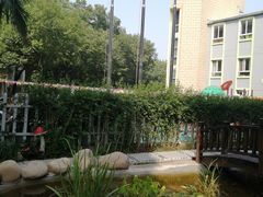 -南京市实验幼儿园