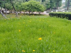 -白塘生态植物园