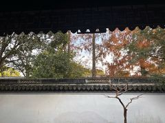 -秋霞圃