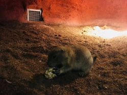 -酷嗒动物文化乐园(cutezoo西溪乐天城店)