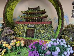 -杭州植物园