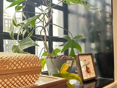 -一尺花园(安和花园店)