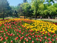 -长春公园(普阳街道)