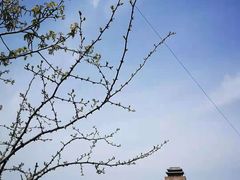 -陈炉古镇