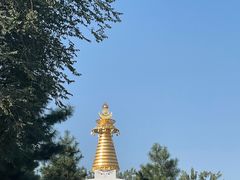 -护国法轮寺