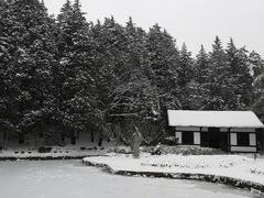 -庐山风景区花径公园