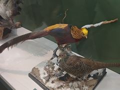 -国家自然博物馆