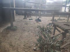-老北京涮羊肉(航东路店)