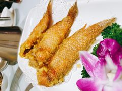 -潮人姐妹轩(海宁路店)