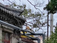 -湛山寺