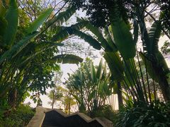 -西双版纳融创皇冠假日度假酒店