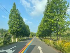 -天目湖松岭竹海漂流