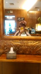 android_upload_pic-红人馆造型世爵国际