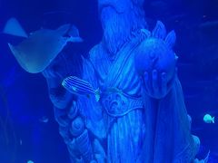 -沈阳海洋探索中心