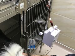 -安安宠医·安宠宠物医院