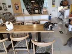 -平行世界·猫咖(首经贸店)