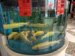-湖滨国际酒店中餐厅·宴会厅