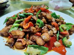 -煲来饱去冷水鱼