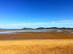 -刘一龙虾(数码路店)