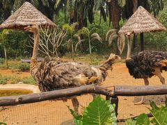 -海南热带野生动植物园