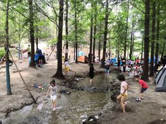 -白水寺森林公园