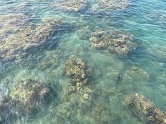 -三亚西岛海洋文化旅游区