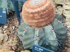 -国家植物园南园