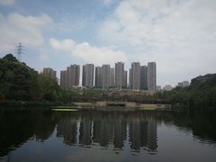 -重庆彩云湖湿地公园