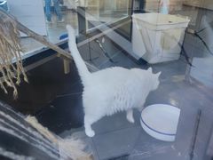 -弓舍射箭俱乐部(高新总店)