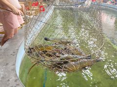 -光头佬室内钓虾场·烧烤·团建·亲子(中山八路店)