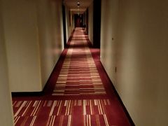 -上海龙之梦万丽酒店