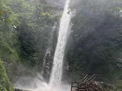 -莫里热带雨林景区