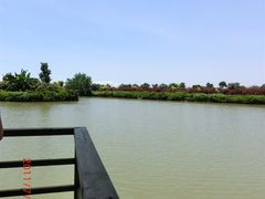 -大湾区中央湿地公园