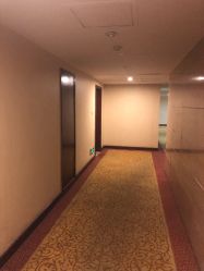 -涌泉妈咪树通乳·产后恢复