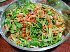 芫茜葱捞鹅肠-石岐乳鸽村(南海第三分店)