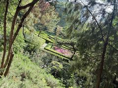 -黄村公园