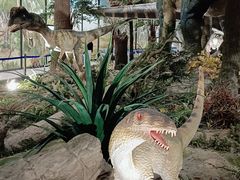 -湖南省地质博物馆