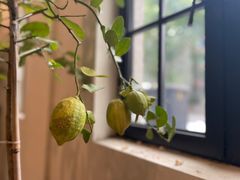 -Fridi Patisserie Cafe