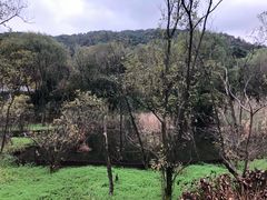 -西湖风景区-江洋畈生态公园
