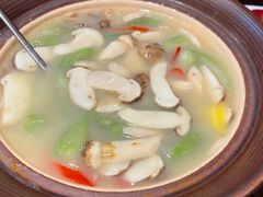 -滇野云南野生菌餐厅(陕西南路店)