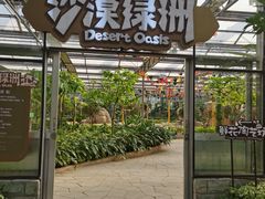 -南宫五洲植物乐园