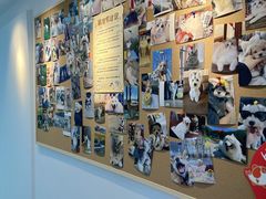 -翊宠yipet猫狗购宠庄园犬舍•猫舍