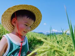 -光明小镇欢乐田园