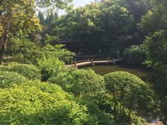 -汇龙潭