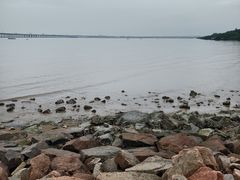 -宝安西湾红树林湿地公园