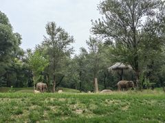 -北京野生动物园