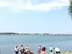 -丁香湖公园